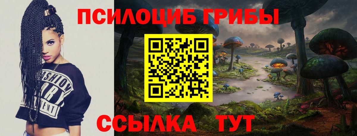 Псилоцибиновые грибы мицелий  Вход с VPN  Ревда 